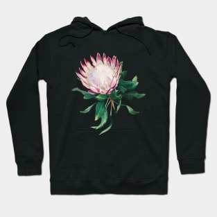 King protea flower Hoodie